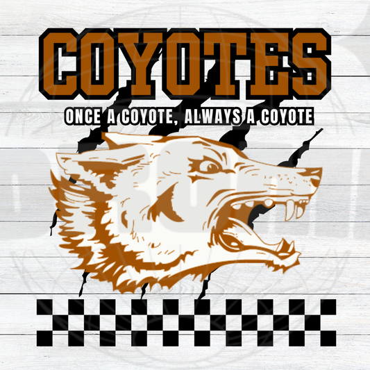 Once a Coyote, Always a Coyote!