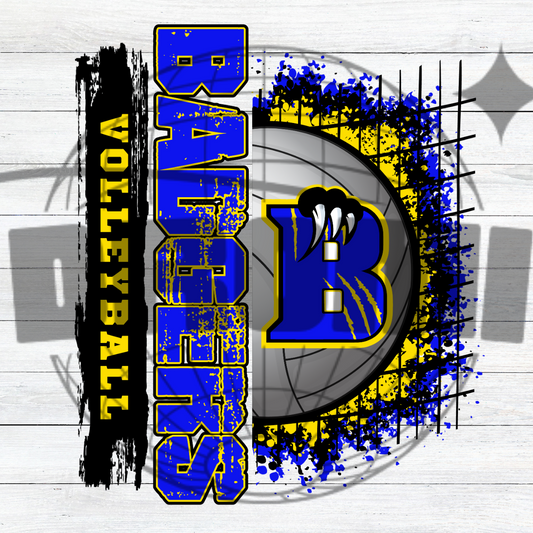 Badgers Volleyball 2